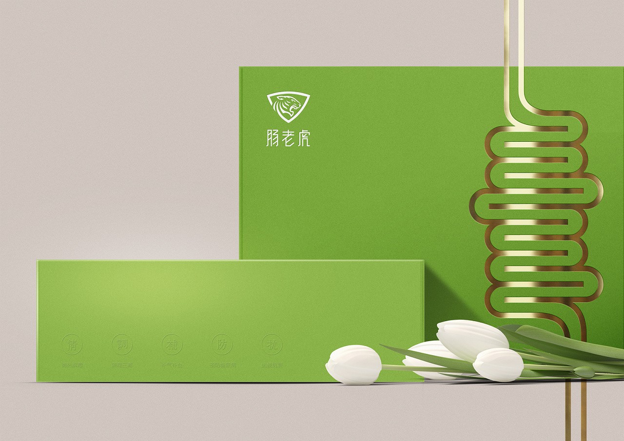 益生菌類保健品包裝設計,腸胃保健品包裝設計公司 益生菌類保健品包裝設計,腸胃保健品包裝設計公司