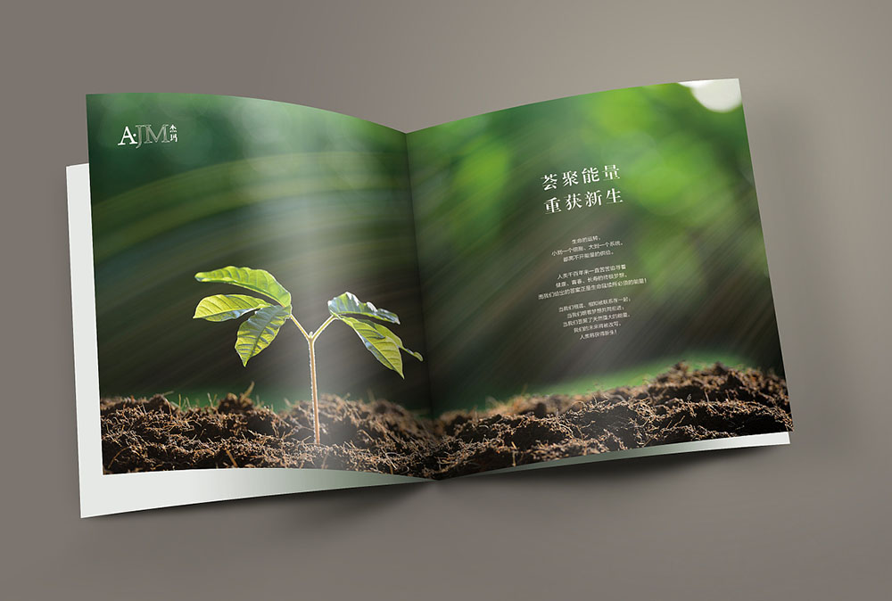網(wǎng)紅化妝品畫冊(cè)封面設(shè)計(jì),網(wǎng)紅化妝品內(nèi)容模板設(shè)計(jì)公司 網(wǎng)紅化妝品畫冊(cè)封面設(shè)計(jì),網(wǎng)紅化妝品內(nèi)容模板設(shè)計(jì)公司