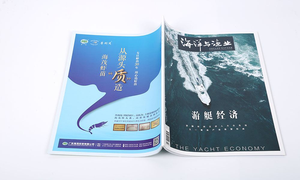 設(shè)計畫冊價格比較劃算？